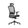 Zalo Ergonomic Office Chair Back Angle View