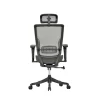 Zalo Ergonomic Office Chair Back View