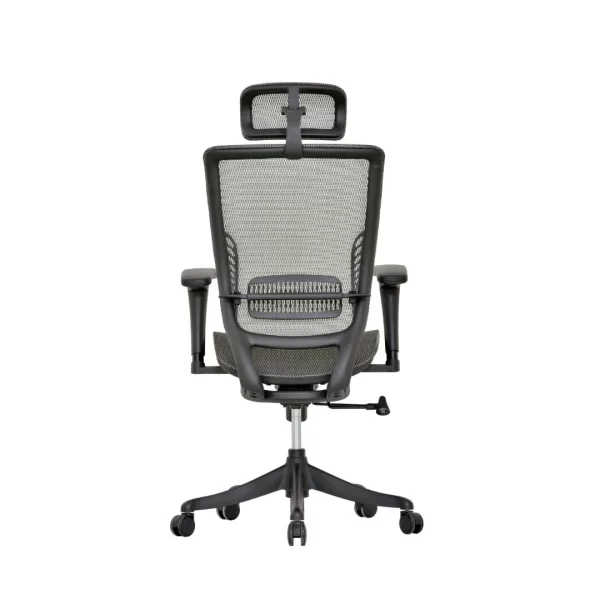 Zalo Ergonomic Office Chair Back View