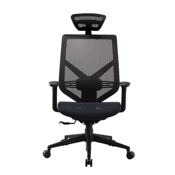 Tender form (classic) HB front face ergonomic office chair