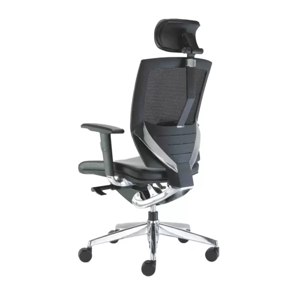 207-Vegas+-HB-back-angle